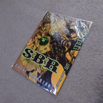 죠죠의 기묘한 모험 STEEL BALL RUN 2 커버