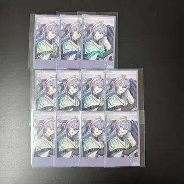 호시미치 쇼 폴라로이드