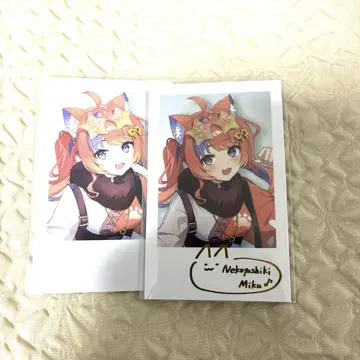 니지산지 오늘 밤, x x 와 꿈을 꾼다. 폴라로이드 네코야시키 미쿠