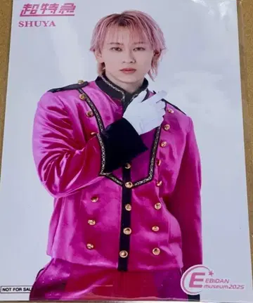 EBiDAN museum 2025 전반기 입장 혜택 초특급 슈야