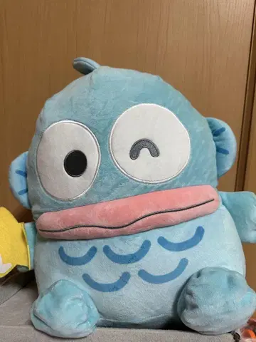 한교동 봉제 인형