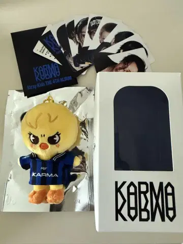 stray kids KARMA skzoo ver 포가리 필릭스