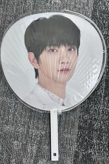SEVENTEEN 세부치 조슈아 부채 SVT
