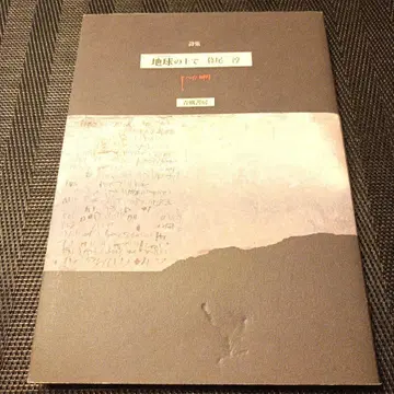 지구 위에서 시집
