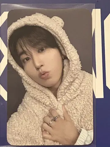 straykids 스키즈 fans  트레이딩 카드 한 하니 리스펙