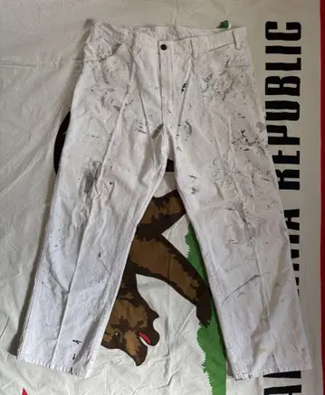 Sherwin Williams x Dickies 페인터 팬츠