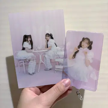 piki kawaii kaiwai 브로마이드 폰탭