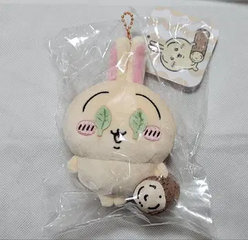 치이카와 (먼작귀) 이거 수박 깨기? 마스코트 토끼