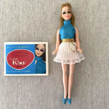 레어! 타카라제 도온 미사용 소책자 포함