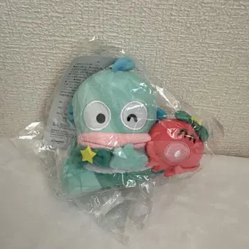 한교동 별자리 쌍둥이자리 마스코트 참 산리오 아베일
