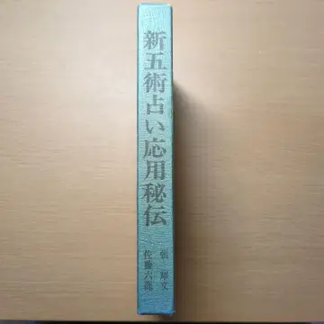 신오술 점술 응용 비전