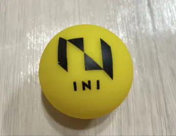 INI 공