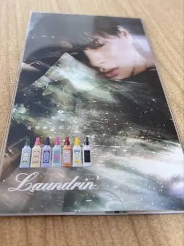 란도린 리플렛 카드풍 플라이어 히라노 쇼