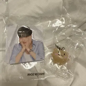 treasure 하루토