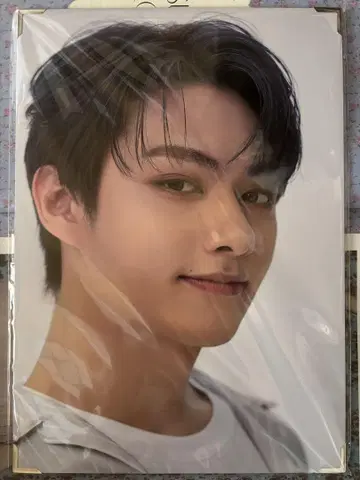 SEVENTEEN CARAT LAND 프리미엄 사진 준