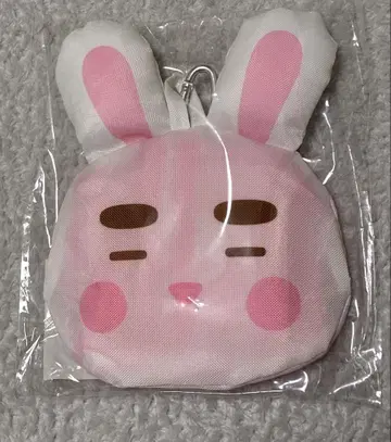 ONEW 온유 진기 에코백