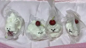 휘핑 강아지 생활 4점 덤 포함