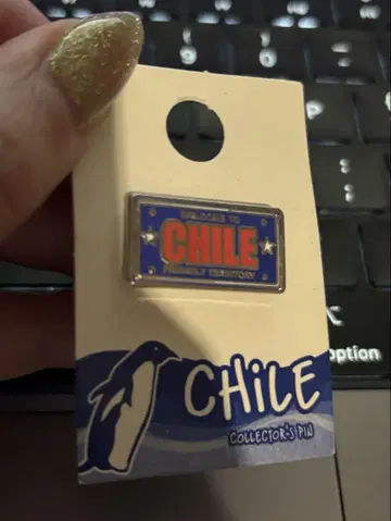 CHILE 메탈 핀 배지 DG126042