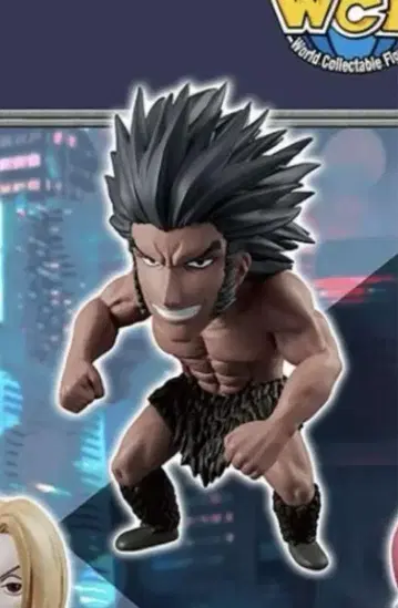 HUNTER x HUNTER 월드 컬렉터블 피규어 우보긴
