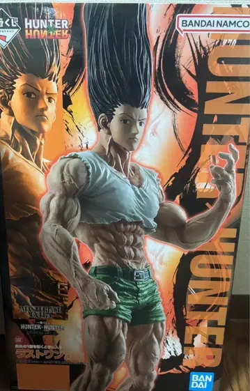 HUNTER x HUNTER 곤 라스트 원상