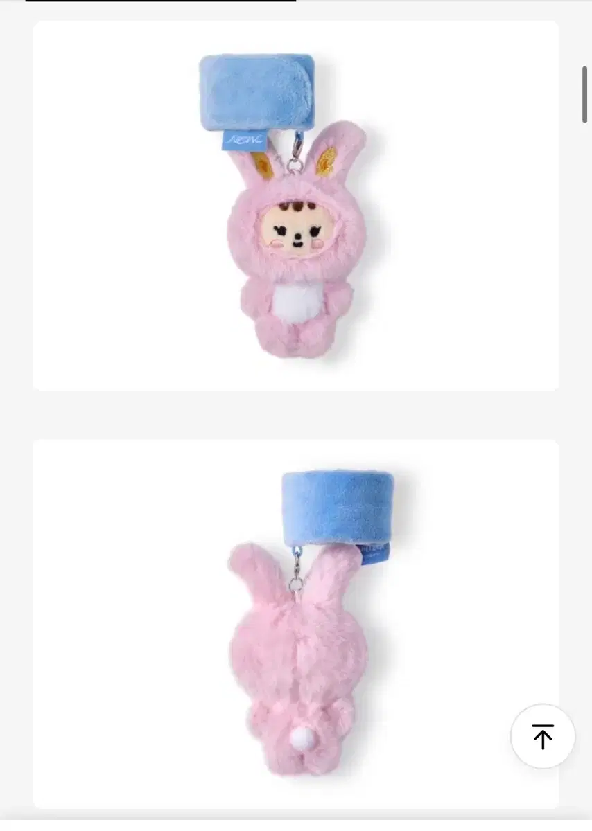 Seventeen Mini Tin Deco Band Jjongtorama