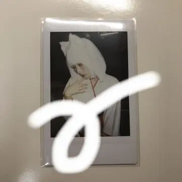 큐르시테 신기루 아뮤 폴라로이드
