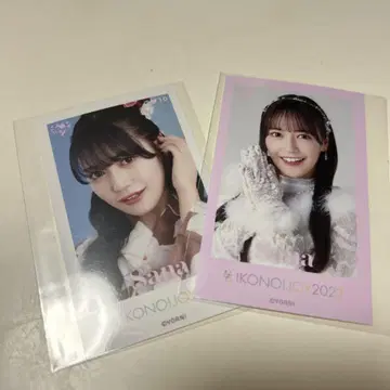 이코럽 미니 포토 카드 모로하시 사나