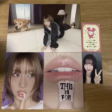 TWICE 모모 this is for ready to be 러블리 카드