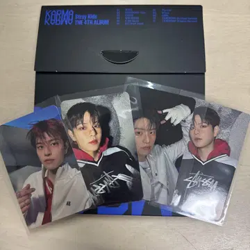 straykids 승민 KARMA