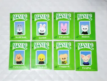 Straykids MANIAC SKZOO ID 사진