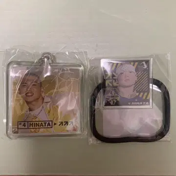 D리그 가챠 세가사미 럭스 HINATA