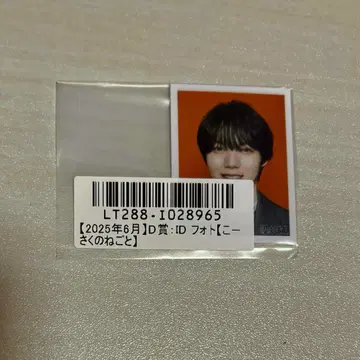 코이즈미 히카루 사쿠라 키라리 스크래치 ID 사진