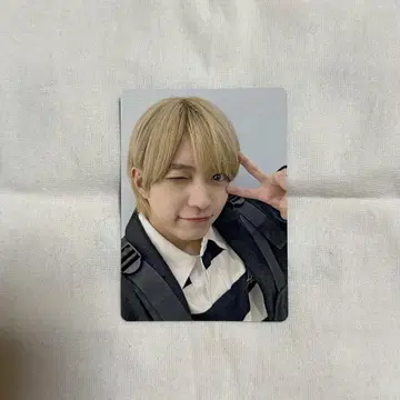 [ 니시하타 다이토 ] 솔로 트레이딩 카드
