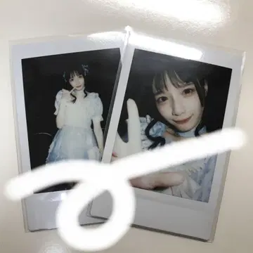 큐루시테 토유 타오 폴라로이드