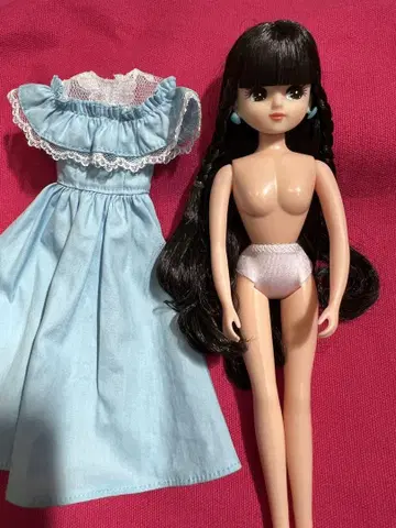 스탠다드 리카짱 블랙 헤어 드레스 포함 개봉 완료 미사용 리카짱 캐슬