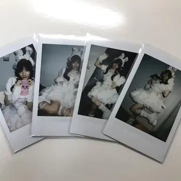 큐루시테 토유 타오 란체키
