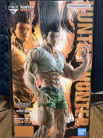 HUNTER x HUNTER 곤 ~성장 ver~ 피규어 라스트 원상