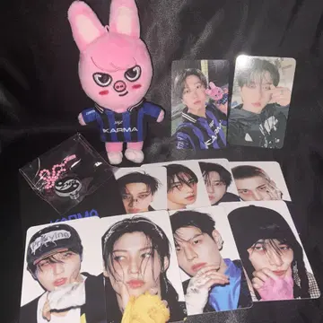스트레이 키즈 스키즈 KARMASKZOO 키링 창빈 돼끼