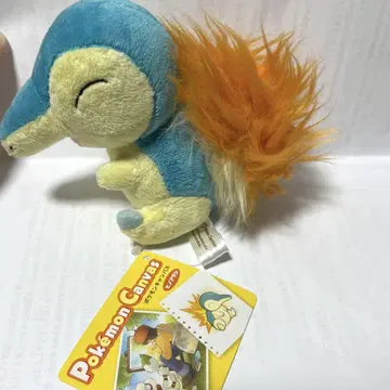 포켓몬 센터 캠퍼스 히노아라시 봉제 인형 2009년