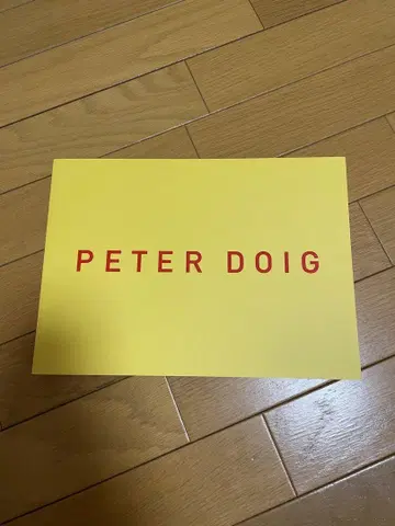 PETER DOIG 전 도록