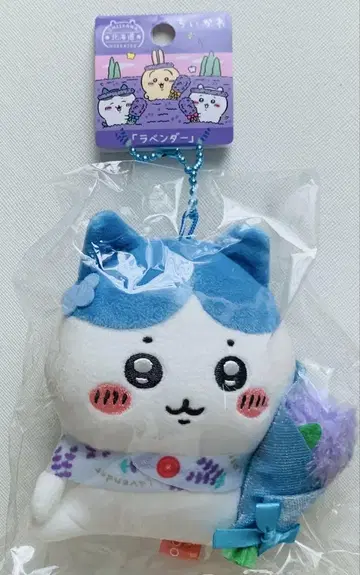 치이카와 (먼작귀) 고토치 홋카이도 라벤더 하치와레