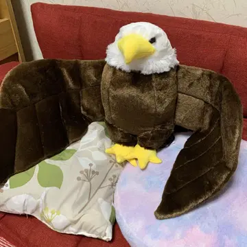 [ 독수리 봉제 인형 ] 제왕의 독수리 하쿠토 AMUFUN