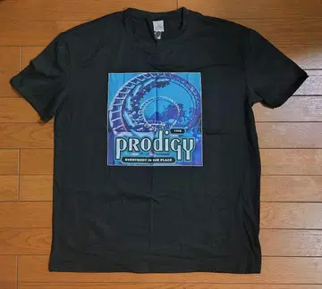 프로디지 prodigy Everybody in the Place..