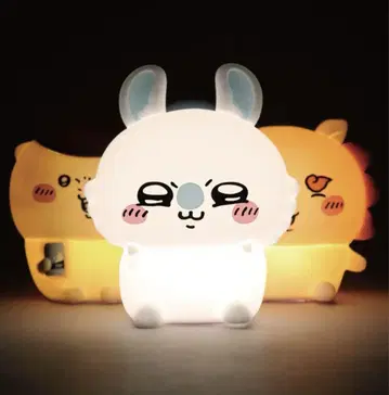 치리 카와 모몽가 라이트 화이트