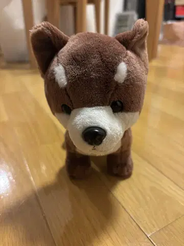 시바견 봉제 인형 새상품급