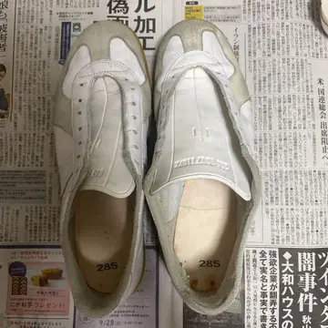 저먼 트레이너