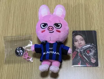 StrayKids 스키즈 창빈 SKZOO 돼끼 칼마 FANS