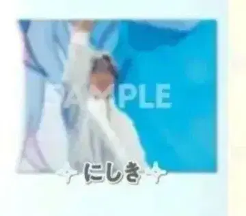 [ 9월 5일까지 세일 ] STPREXPO 복권 스니스테 니시키 군 세트
