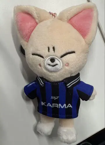 Straykids karma skzoo 폭시니