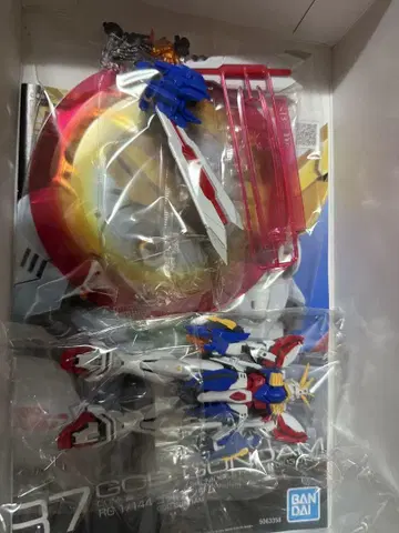 RG 갓건담 조립 완료